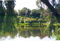 Lake in the Botanic Gardens
